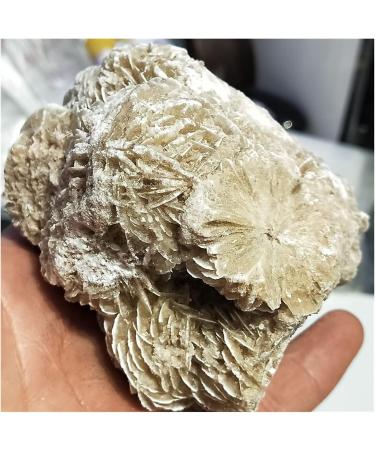 300-600g Natural Desert Rose Stones SeleniteReiki ra Crystal Specimen Rough Sample Cluster fengshui Home Decor ZJGIDTEM (Color : About 300g) - Buy Online on GoSupps.com