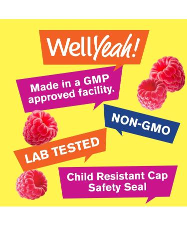 WellYeah High Potency Biotin 10,000 mcg Gummies - Vegan-Friendly for Stronger Hair, Skin & Nails - Gluten-Free Non-GMO - 60 Berry Flavor Gummies - Buy Online on GoSupps.com