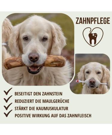 Petlove Olive Wood Chewing Bones for Dogs | Dental Care Toy for Puppies & Small Dogs | 2-Pack S (60-99g) - Buy Online on GoSupps.com