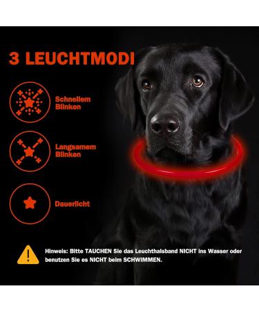 Nepfaivy Light Neck Band for Dogs - USB Charging Waterproof LED Collar with 3 Modes Adjustable Length for Large & Medium Dogs (Red-B) - Buy Online on GoSupps.com