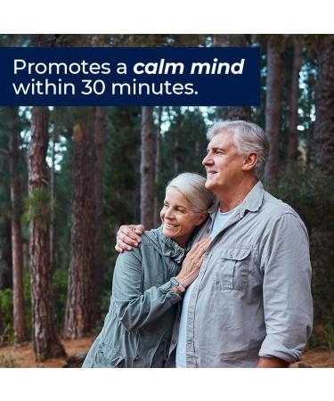 LifeSeasons Anxie-T with Rest-ZZZ - Supports Mood & Mental Focus - Feel Calm and Relaxed - Eases Tension & Nervousness - Ashwagandha Kava Kava GABA & L-Theanine - 240 Capsules - Buy Online on GoSupps.com