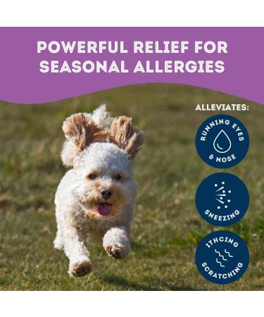 The Granville Island Pet Treatery Nutra Bites Homeopathic Supplement (240g Pack of 1) - Allergy Supplements for Dogs - Herbal Natural Dog Treats & Chemical- Free Seasonal Allergy Support 240 g (Pack of 1) - Buy Online on GoSupps.com
