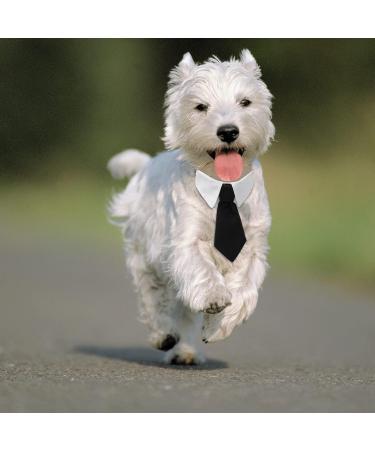 Molain 2 Pcs Pet Cat Dog Bow Tie Cat Collar Bow Tie Adjustable Bowtie for Puppy Party Formal Neck Ties for Dogs & Cats Dog Necktie Costumes for Dogs 30cm/11.8in Black+Blue Stripe Dog Collar Bow Tie 2 Colors Pet Bow Ties - Buy Online on GoSupps.com