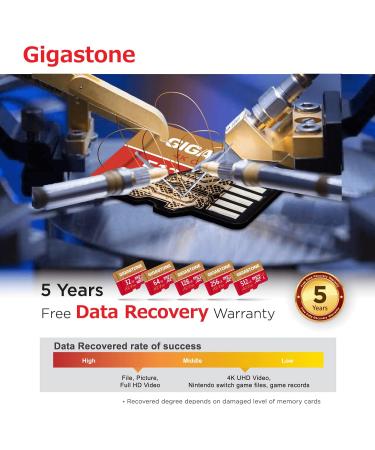 Gigastone 256GB Micro SD Card A2 V30 for 4K Camera Pro, Smartphone, GoPro, Action Cams | 5-Yrs Free Data Recovery | 4K UHD Video, Nintendo-Switch Compatible - Buy Online on GoSupps.com