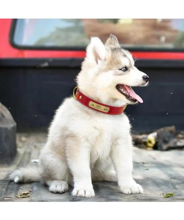 Senristar Personalized Leather Dog Collar - Engraved Name Tag Stylish & Durable for Small to Large Dogs (M Red) - Buy Online on GoSupps.com