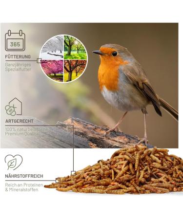 Premium 2.5L Wildlife Deer Hinge Insect Mix | Dried Mealworms Insect Larvae & Gamarus for Wild & Garden Birds - High-Quality Bird Feed - Buy Online on GoSupps.com
