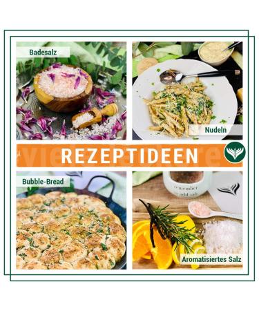 Azafran Pink Himalayan Rock Salt - Fine 2kg (Pack of 2) | Premium Sea Salt for Health & Cooking - Buy Online on GoSupps.com