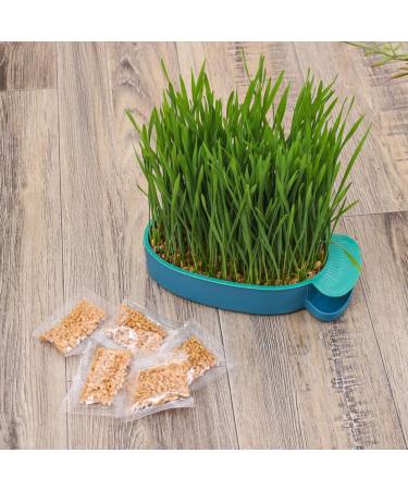 Buy Buguuyo 3 Series Cat Grass Box with Catnip - Perfect Plastic Plant Planters for Pets - Buy Online on GoSupps.com