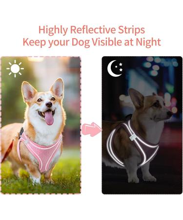Buy Heele Dog Harness for Small Dogs - No Pull Breathable Adjustable Reflective - Perfect for Training & Running - Rosa Size L - Buy Online on GoSupps.com