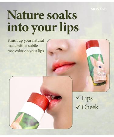 MONAGE Korean Beauty Tinted Lip Balm & Nourishing & Moisturizing Lip Care Made from 100% Natural Ingredients Organic Moisturizer for Dry Cracked Lips Natural Red from Nature Raum 0.38 Ounce - Buy Online on GoSupps.com