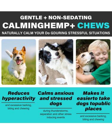 HRAMEX Calming Chews for Dogs(Peking Duck 60PCS) 100% Natural Ingredients Dogs Calming Treats Helps Dog Anxiety & Stress Relief Separation and Barking for All Breeds & Sizes 4.7oz(132g) - Buy Online on GoSupps.com