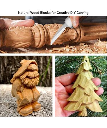 Wood Whittling Kit for Adults and Kids - 3 Carving Knives, 8 Basswood Blocks, Gloves - Beginners Wood Carving Set - Buy Online on GoSupps.com