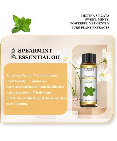 EUQEE Spearmint Essential Oil 10ml 100% Pure Natural Spearmint Oils Aromatherapy Essential Oils for Diffusers for Home Relax Candle Making Spearmint 10 ml (Pack of 1) - Buy Online on GoSupps.com