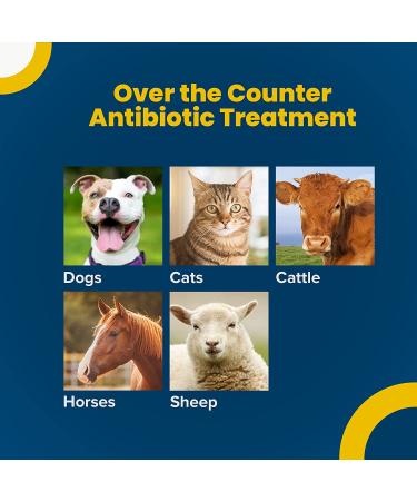 Terramycin Antibiotic Ointment for Eye Infections in Dogs, Cats, Cattle, Horses & Sheep - 0.125oz Tube - Buy Online on GoSupps.com