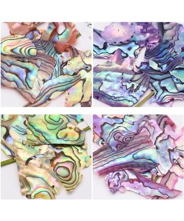 Charm Rhinestone Sea Shell Natural Nail Decorations 3D Texture Nails Abalone Shell Slice Nail Art Slices(1) Style1 - Buy Online on GoSupps.com