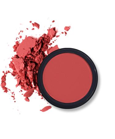 Erinde single red eyeshadow pallet nude tones pink matt eyeshadow palette waterproof pressed powder eyeshadow palette high pigmented & long loading basic shade eye makeup 212 sally