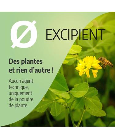 Fenugreek 330mg - 200 capsules - Buy Online on GoSupps.com