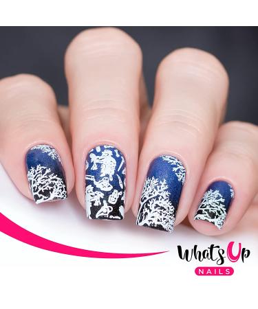 Whats Up Nails Halloween Stamping Plates 2 Pack - B054 & B072 - Nail Art Design Variety Set - Buy Online on GoSupps.com