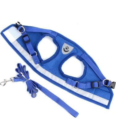 Ranphy Cat Dishes & Harness Set - Breakproof Leash Soft Fabric for Small Cats & Puppies - XS Blue - International Shipping - Buy Online on GoSupps.com