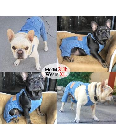Dog Shirts Clothes Denim Overalls  Pet Jeans Onesies Apparel  Puppy Jean Jacket Sling Jumpsuit Costumes  Fashion Comfortable Blue Pants Clothing for Small Medium Dogs Cats Boy Girl (Blue  Large) Blue Large - Buy Online on GoSupps.com