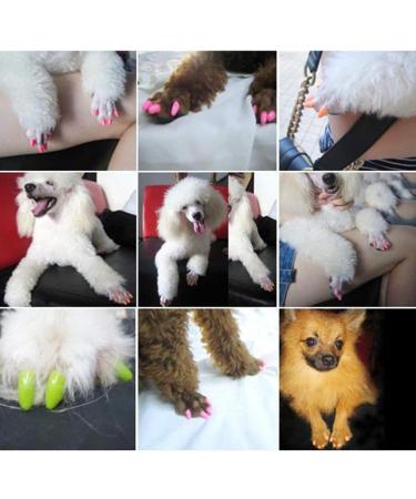 20x Pink Cat Claw Protectors - Anti-Scratch Caps for Kittens - Size S - International Shipping - Buy Online on GoSupps.com