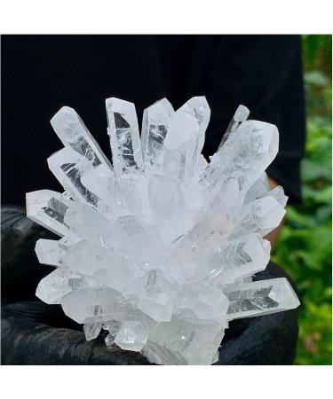 Natural White Phantom Quartz Crystal Cluster Samples Home Office Decoration Crystal Cluster (Size : 480-500) - Buy Online on GoSupps.com
