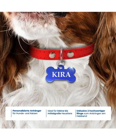 Ibera Gifts - Personalized Blue Bone-Shaped Pet Pendants for Dogs & Cats - Custom Engraved Names for Collars - Buy Online on GoSupps.com