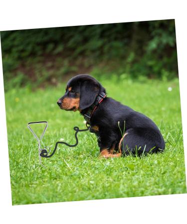 Angoily 3-Piece Dog Coupling Ground Anchor - Chrome Plated Metal Pet Tie Set (42x8.5x4cm) - Durable Silver Pet Accessories - Buy Online on GoSupps.com