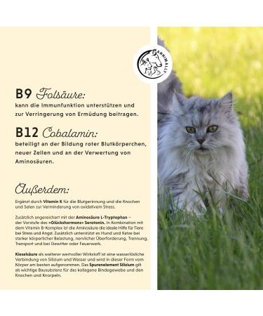 Premium Vitamin B Complex for Dogs & Cats - 120 High-Dose Tablets for 4 Months | Essential B Vitamins & Selenium Supplement - Buy Online on GoSupps.com