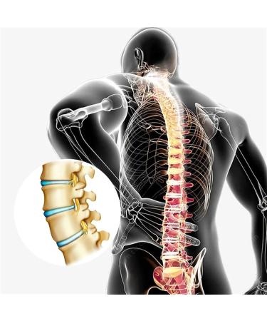 Back Decompression Belt - Medium Lumbar Support for Back Pain Relief & Sciatica - Fits Sizes 29-49 - White - Buy Online on GoSupps.com