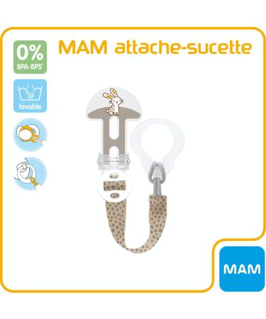 MAM Mixed Succulents - Random Color for All Ages | French Instructions | Ideal for Gifts & Home Decor - Buy Online on GoSupps.com