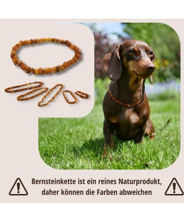 PetLove 100% Baltic Amber Necklace for Dogs & Cats - 55cm Dog Collar | Natural Healing Benefits - Buy Online on GoSupps.com