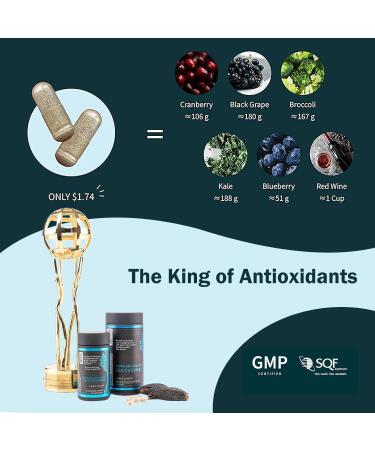 Nova Sea Atlantic Sea Cucumber Supplement Wild Caught Sea Cucumber Capsules with Fucosylated Chondroitin Vitamins Mineral Natural Antioxidant Supplement for Elderly Adult Child (Pack of 6) 120 count (Pack of 6) - Buy Online on GoSupps.com