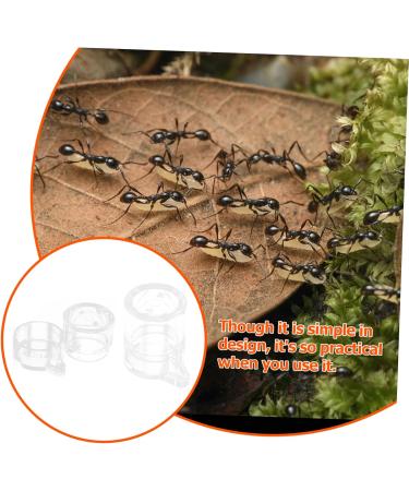 Yardwe 2pcs Ant Water Feeder Ant Habitat Ant House Mini Ant Nest Pet Feeder Transparent Acrylic - Buy Online on GoSupps.com