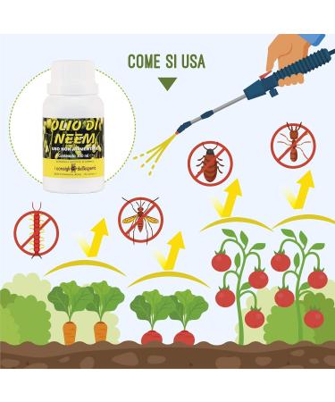 Expert Advice Neemolie 100 ml - Buy Online on GoSupps.com