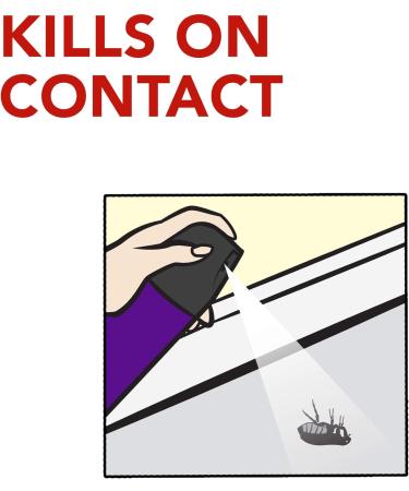 Raid Essentials Ant And Spider Killer Kills Listed Bugs On Contact 350g - Buy Online on GoSupps.com