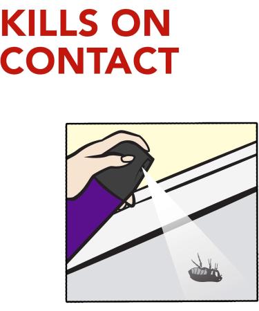 Raid Spider Blaster Killer Kills Listed Bugs on Contact For Indoor Use 350g - Buy Online on GoSupps.com