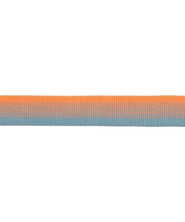 RUFFWEAR Front Range Medium Dog Collar - Adjustable Length, Comfortable Fabric, Aluminium V-Ring - 36-51cm - Spring Fade - Buy Online on GoSupps.com