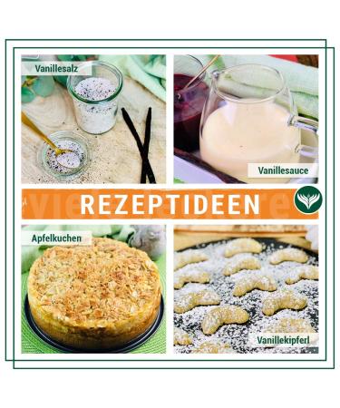 Buy Azafran Tahiti Vanilla Pods 15-16 cm - Premium Quality Vanilla Beans (2 pcs) | International Shipping - Buy Online on GoSupps.com