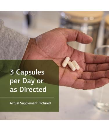 Standard Process ProSynbiotic Digestion and Digestive Health - 90 Capsules - Buy Online on GoSupps.com