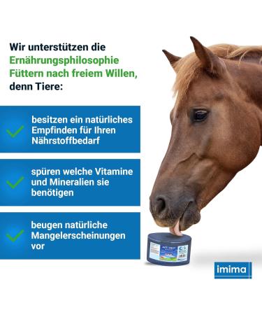 Imima Mineralleckstein Horse Anti-Insect Salzleckstein Set | 2 x 3kg Mineral Salt Lick Stones for Horses Sheep Goats & Cattle - 6kg Total Pack - Buy Online on GoSupps.com