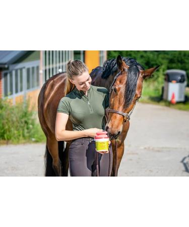 Buy RL24 Zedan Insect Gel with Sponge - Long-Lasting Fly Protection for Horses & Riders | 500ml Bucket | Protect Against Mosquitoes Flies & Ticks - Buy Online on GoSupps.com