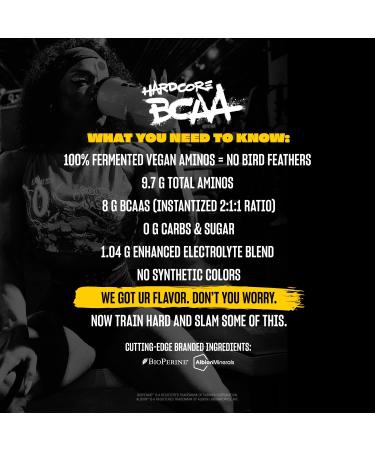 Mutant Hardcore BCAA - Pre Intra or Post Workout BCAA Next Level branched-Chain Amino Acids Supplement Hydration + Recovery - 30 Serving - Fruit Punch Fruit Punch 13.8 Ounce (Pack of 1) - Buy Online on GoSupps.com