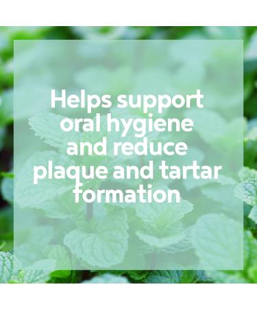 A-OK9 Plaque-K9 Dental Supplement for Dogs - Removes Plaque, Bad Breath & Tartar | Oral Hygiene Support with Natural Ingredients - Absolute Dogs - Buy Online on GoSupps.com