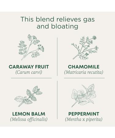 Traditional Medicinals Tea Organic Gas Relief  Relieves Gas & Bloating Chamomile Mint 16 Count (Pack of 6) - Buy Online on GoSupps.com