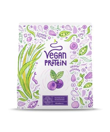 Vegan Proteine en Poudre 600g | Myrtille | 17.4g Protein | Prot ine Powder de Riz Pois Graines de Tournesol | Pre & Post Workout Proteines Musculation | Shake de Prot ines | Alpha Foods Myrtille 600g