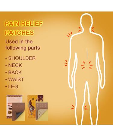 Pain Relief Plasters - Heated Knee Back & Shoulder Pain Relief - 24-Piece Box - Buy Online on GoSupps.com