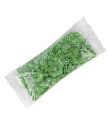 Fruit Nail Art Slices Multifunctional Exquisite DIY Manicure Slices for Home Nail Shop(Kiwi)