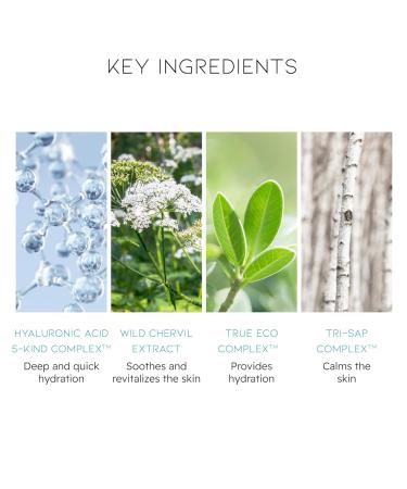 BEYOND Angel Aqua Moisture Lotion - Vegan Lightweight Moisturizer for Sensitive Skin 6.8fl oz | Korean Skin Care with Chervil & Hyaluronic Acid - Buy Online on GoSupps.com