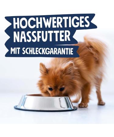 Pets Deli Wet Food for Small Dogs | Beef Buckwheat & Beetroot | Sugar & Gluten-Free 6x200g (16 Pack) - Buy Online on GoSupps.com